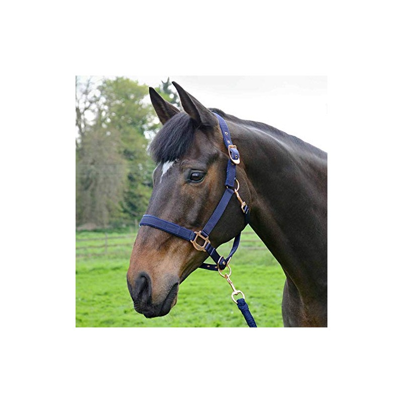 Y-H HY Rose Gold Lead Rope & Head Collar Full