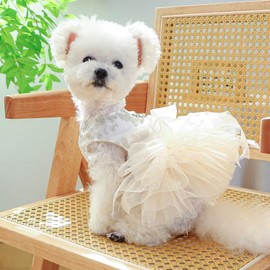 ZHUXILUDAO Party Dresses for Dogs and Kittens, Birthday Wedding Costumes for Pets (Starlight, Small)