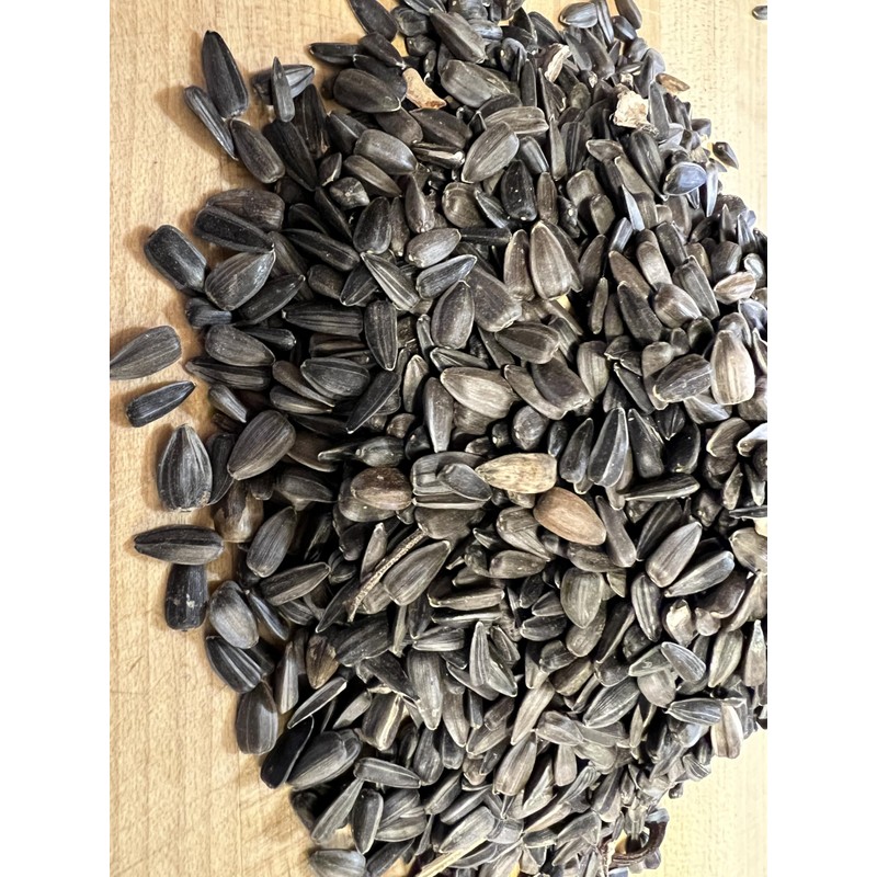 Black Oil Sunflower Seeds Non GMO Organic for Planting or