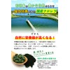 REIKO 八重山クロレラ クロレラ サプリ 300粒 八重山 1ヶ月分 パウチ 無添加 添加物不使用