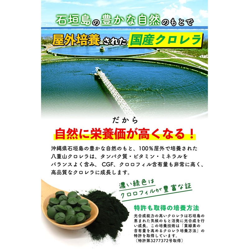 REIKO 八重山クロレラ クロレラ サプリ 300粒 八重山 1ヶ月分 パウチ 無添加 添加物不使用