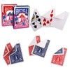 Bicycle Special Assortment Deck - Assorted Gaff Playing Cards -