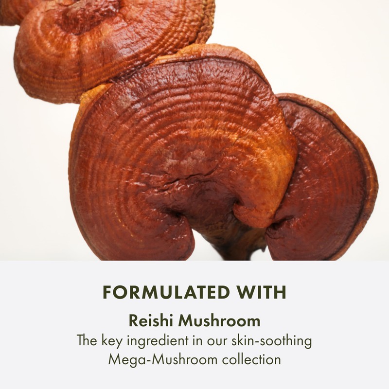 Origins Mega-Mushroom Face Cleanser | Great for Sensitive Skin |