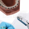 DawnProMed Hard Wire Cutter Plier Dental Orthodontic Instrument 15 Degree