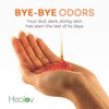Healov Persimmon Body Wash for Body Odor Control – Purifying