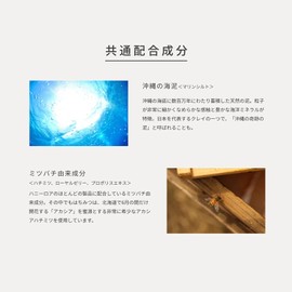 HONEY ROA Mother Clay (Yellow), 7.8 oz (220 g), For Aged Skin, Hari, Texture Clay Pack, Rinse Pack