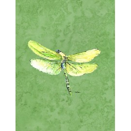 28 x 40 In. Dragonfly On Avacado Flag Canvas, House Size