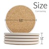 CoasterStone Absorbent Coasters, Hummingbird Assortment, 4-1/4-Inch, Set of 4