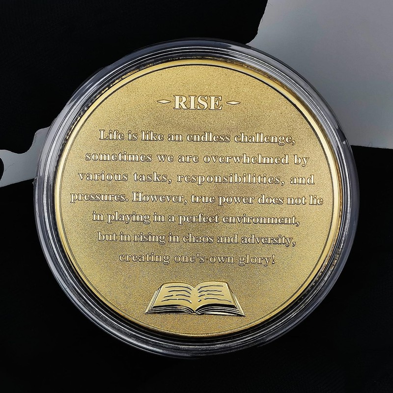 Rise Above Chaos and Adversity Challenge Coin Humorous Office Life