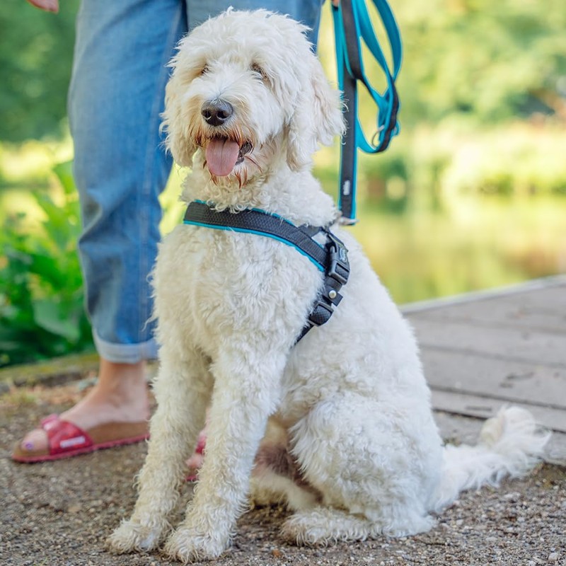 Nobby Norwegian Harness Mesh Preno, Light Blue, L: 38-50 cm