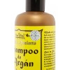 Shampoo Argan Oro Del Desierto Hidratación Y Brillo Sin Sal