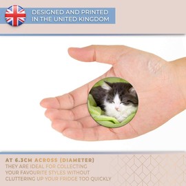 Destination Vinyl ltd Magnet for Refrigerator, Fridge - Cute Sleeping Kitten Cat for Office, Cabinet and Whiteboard, Magnetic Stickers, 15677