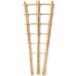SWANGSA 5 Pack 3Ft Bamboo Trellis for Climbing Plants Support, Fan-Shaped Ladder Trellis for Outdoor and Indoor Potted Plants Cucumber Garden Stakes