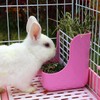 QIXNJALG Rabbit Feeder Bunny Guinea Pig Hay Feeder,Chinchilla Plastic Food