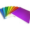 SKY BOOK PROFESIONAL COLORS ESCOLAR 100HJS 8PZ RAYA