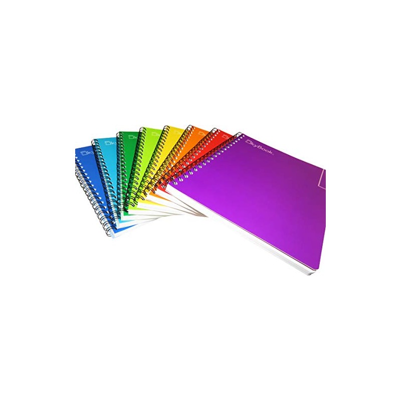 SKY BOOK PROFESIONAL COLORS ESCOLAR 100HJS 8PZ RAYA