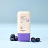 SKINFOOD Berry Moisturizing Sun Cream 50mL SPF50+ PA++++ - SKINFOOD