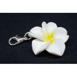 Miniblings Frangipani Flower Blossom Hawaii Surfing Plumeria White - Handmade Fashion Jewellery I Necklace Pendant Silver-Plated Charm Bracelet - Pendant for Bracelet, Polymer Clay