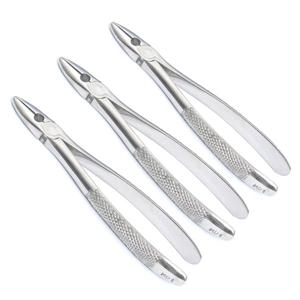 OdontoMed2011® Set Of 3 Dental Extracting Forceps #MD1 Dental Extraction