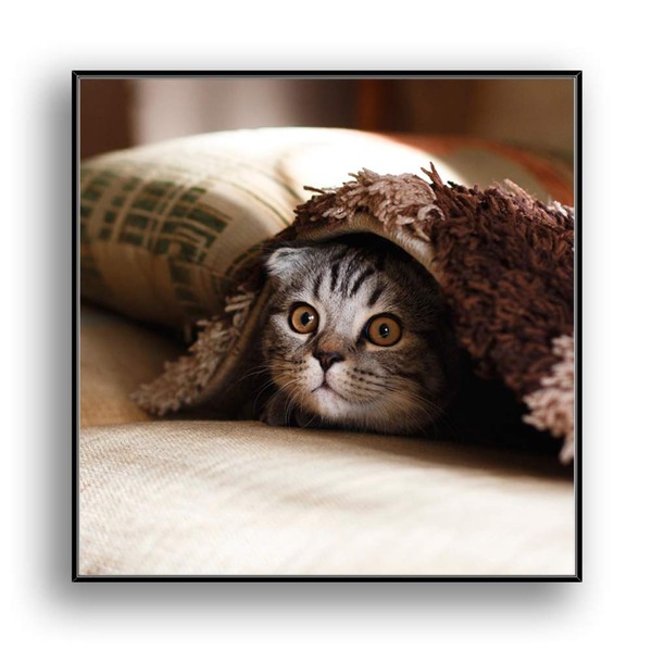 SIGNFORD Framed Custom Canvas Prints Personalized Wall Art with Your