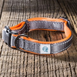 Embark Adventure Dog Collar with Soft Padded Neck, Matching Set with The Adventure Leash and Harness, Pet Collars for Dogs & Most Breeds - Dog Collar for Small Dogs (Small Dog Collars, Orange)