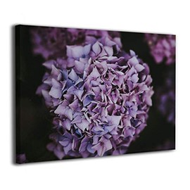 Tour Edge Hot Launch E525 7 Iron 27.5* (Graphite UST Helium Black Senior) 2025