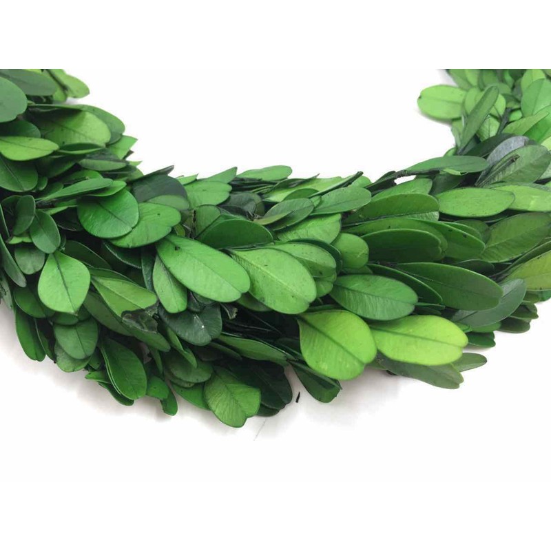Preserved Garden Boxwood Round Wreath 10" By COCOMIA