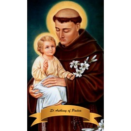 Gifts by Lulee, LLC Saint Anthony Miracle Prayer Blessed Prayer Card Thirteen Minutes Prayer To be Said Every Tuesday said to be Unfailing