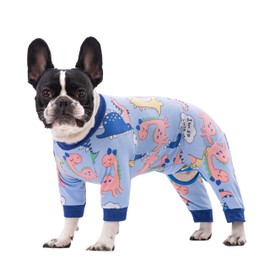 Qunaawa Dog Recovery Suit for Surgery Small Medium Dogs Onesie, Cute Soft Dog Pajamas Bodysuit Cone Alternative Prevent Licking Dog Recovery Suit Female Male (Large, Dinosaur Blue)