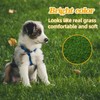 MEEXPAWS Dog Grass Pee Pad, Extra Large Artificial Grass for