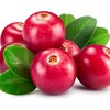 Outsidepride Cranberry - 250 Seeds