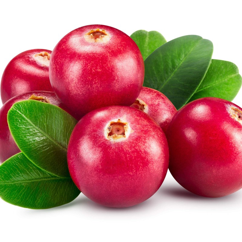 Outsidepride Cranberry - 250 Seeds