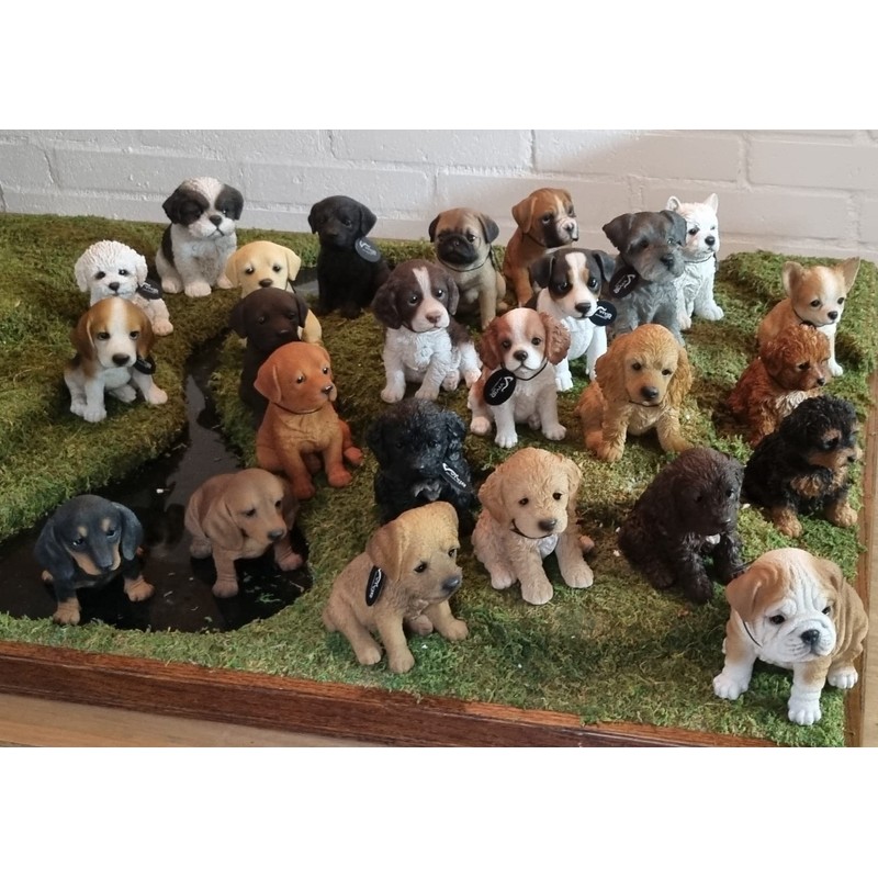 Pet Pals Black and Tan Cavapoo | Resin Home or
