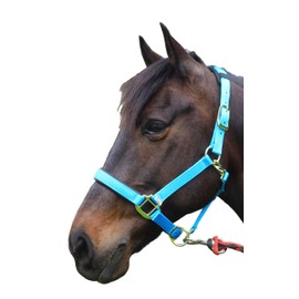 T TEKE Adjustable Horse Halters by Heavy Duty Soft Nylon, Padded with Anti-rubbing Waffle Neoprene on Both Crown & Nose