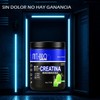 Suplemento Creatina Monohidratada 500g Nit-pro 100serv Polvo