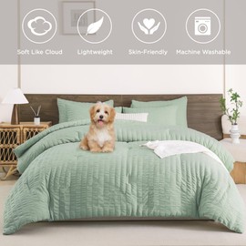Andency Sage Green Queen Comforter Set, 3 Pieces Bedding Comforter Sets (1 Seersucker Textured Comforter & 2 Pillowcases), Lightweight Microfiber Down Alternative Queen Size Bed Set (90x90 inches)
