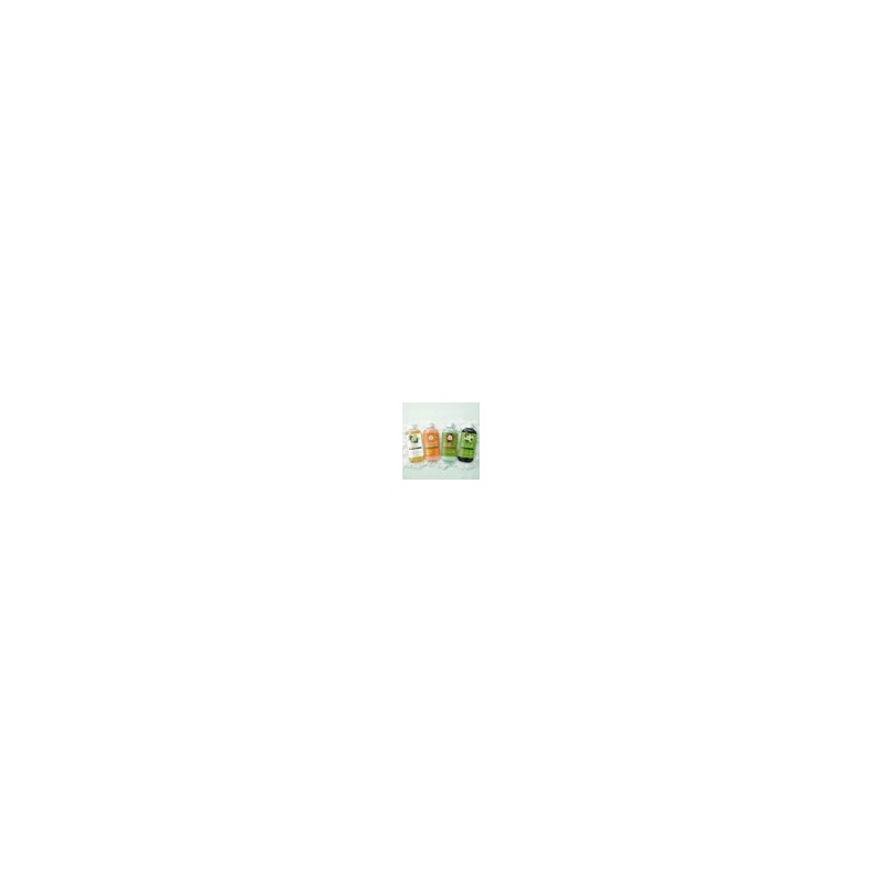 Shampoo Capilar De Limón 500ml