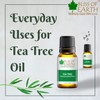 Bliss Of Earth 100% Pure Tea Tree Essential Oil -