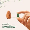 Chlorophyll 3,000mg Equivalent | 240 Veggie Capsules with Parsley, Peppermint,