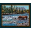 On The Rocks Horses Panel Cotton Fabric