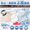[ICHIMIZU] マスク 立体 不織布 3dマスク バイカラー 血色マスク 耳が痛くならない 肌に優しい使い捨てマスク 丸顔