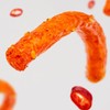 SXETBEAN 2 Packs Latiao, Chinese Spicy Strips, Delicious La Tiao