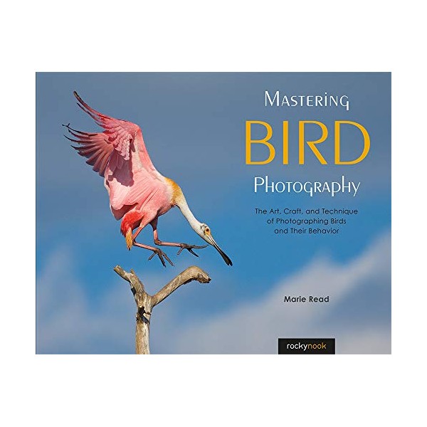 Mastering Bird Photography: The Art, Craft, and Technique of Photographing