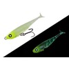 JACKALL(ジャッカル) Worm Jelly Sardine 54 Chart Jelly Glow