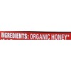 WHOLESOME SWEETENERS Honey FRTRD Raw Organic, 16 Ounce