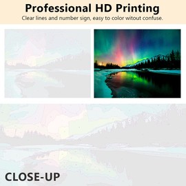 TISHIRON DIY Paint by Numbers for Adults, Aurora Landscape Numbers, 16 x 20 Inches with Brush and Acrylic Paints, for Flameless