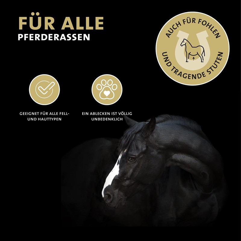 Peticare Peticare Anti-Parasite Remedy for Horses | against mites, fleas,
