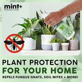 Mint+ Plant Protection Spray, Insect & Pest Control for Indoor & Outdoor Plants, 16 oz (475mL)