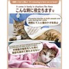 エリザベスカラー 猫 犬 ソフト ［愛玩動物飼養管理士が監修］ サイズ調節可能 介護 防水 布製 傷舐め防止