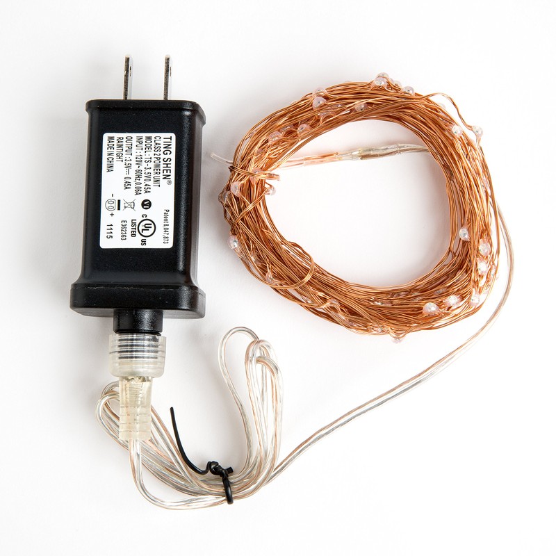 Hometown Evolution, Inc. Orange LED Fairy Lights - Plug in